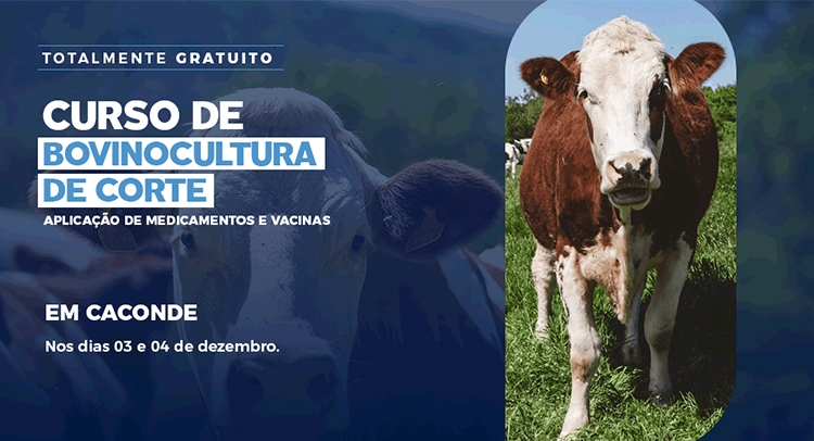 Capa da notícia